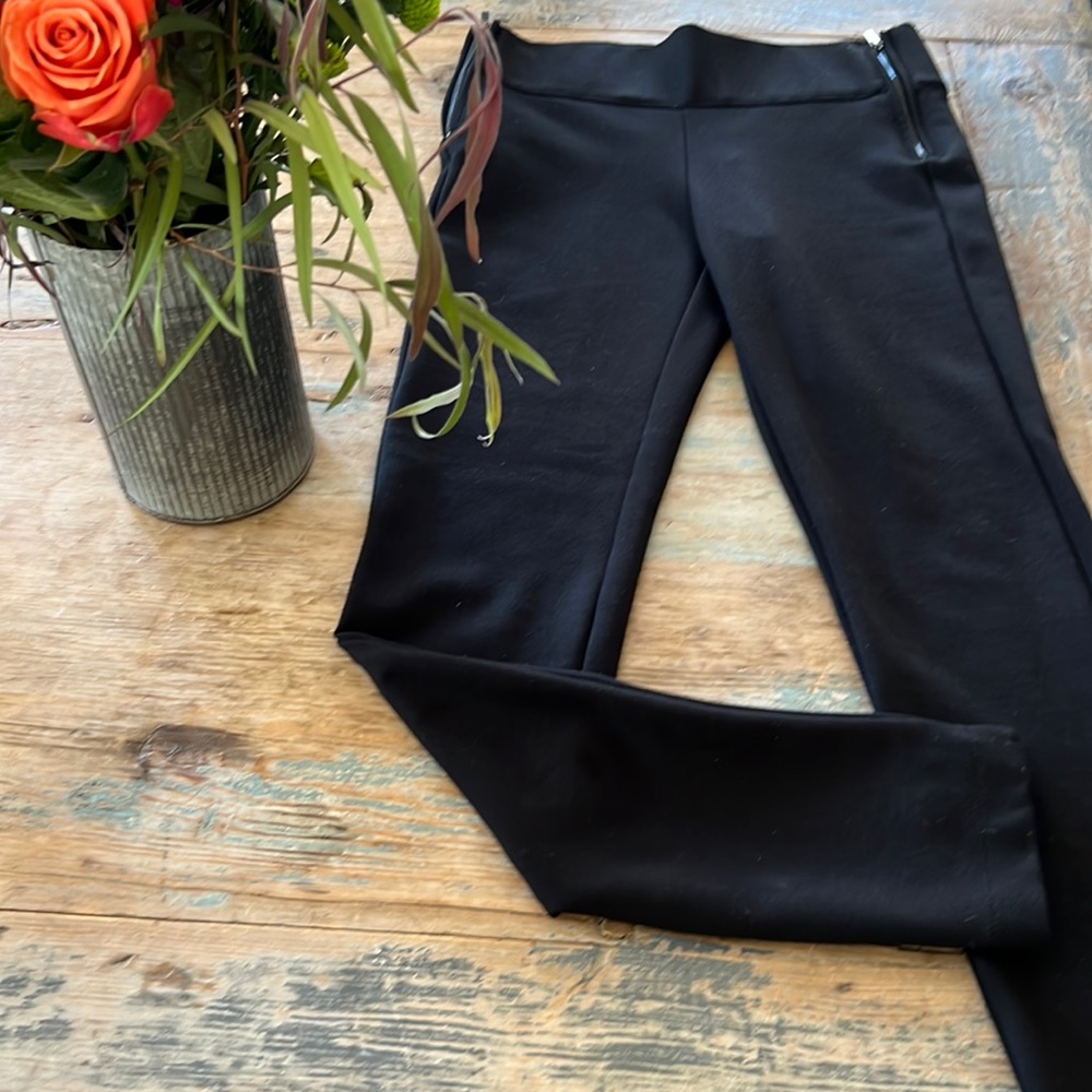 Zara/Trafaluc pants